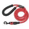 Reflective Dog Leash Nylon Pet Dog Leash Rope For Small Medium Large Dogs Walking Training Pet Supplies - Image 8