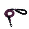 Reflective Dog Leash Nylon Pet Dog Leash Rope For Small Medium Large Dogs Walking Training Pet Supplies - Image 2