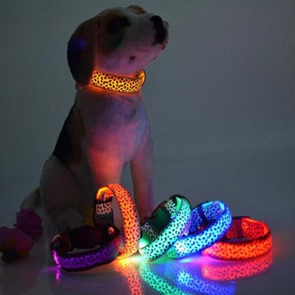 LED Dog Collar – Adjustable Nylon Pet Collar with Leopard Print | Night Safety Light-Up Dog Collar for Walks & Visibility