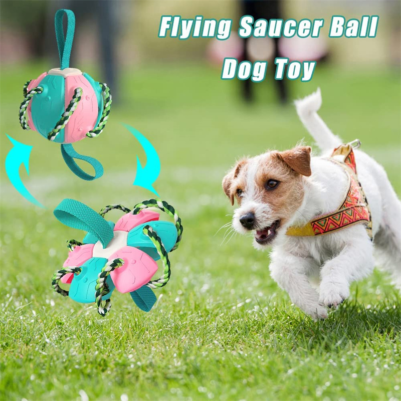 PetBites Interactive Dog Football Soccer Ball Frisbee & Training Toy for Outdoor Play - Image 5