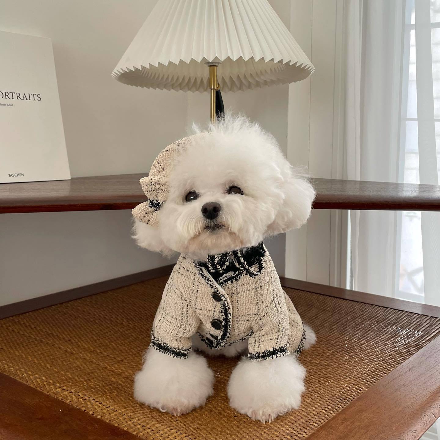 Pet Cat Dog Clothing Princess Skirt - Image 6