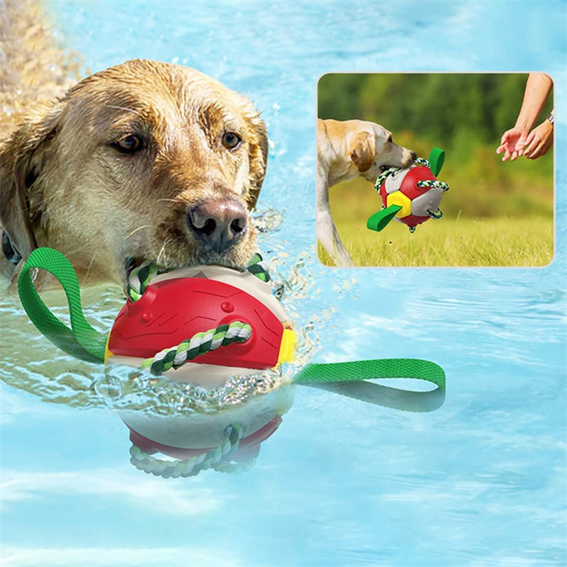 PetBites Interactive Dog Football Soccer Ball Frisbee & Training Toy for Outdoor Play - Image 8